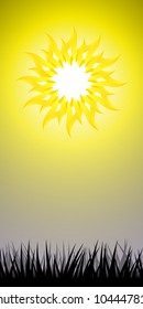 Picture of the Sun high in the sky above the grassy meadow