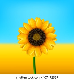 picture of sunflower 02