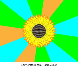 Picture of a sunflower on a multicolored background