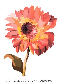 Picture of a sunflower in red colors. Vector