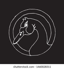 Picture of swan, black background.