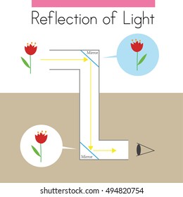 A picture that shows how a mirror works.
