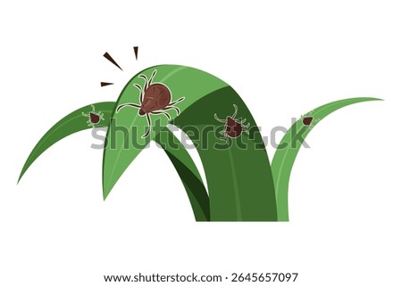 A picture of a tick attached to grass. Several ticks.