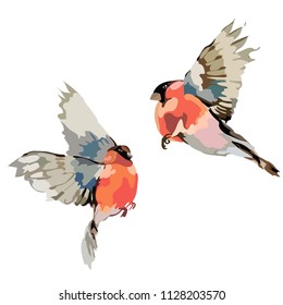 Picture of two birds. Vector