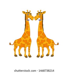 Picture of two fat kissing. Male giraffes, unconventional orientation. Picture for the project, picture for the illustration.