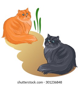 picture of two persian cats, red and grey