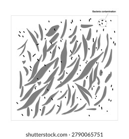 The picture of under microscopic observation, bacterial contamination was detected in the mammalian cell culture.