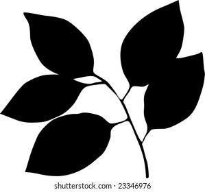 The is a picture of various figures