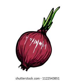 Picture of vegetable red onion
