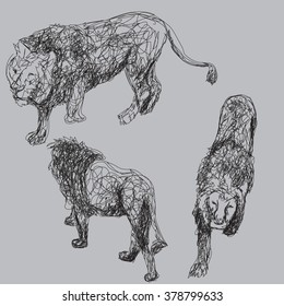 a picture of a walking lion on a gray background/ the king of the beasts