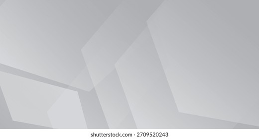 Picture white background with grey circle lines. Digital future technology concept abstract premium modern