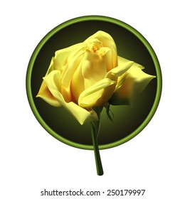 Picture of yellow rose in a round frame