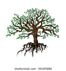 Pictured curvy tree with leaves and roots