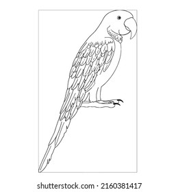 Pictures of black and white out line parrot