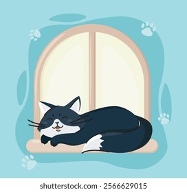 Pictures with cat. Black and white kitten sleeping at home window. Adorable domestic animal. Cute pet. Purebred mammal. Graphic element for website. Flat vector illustration