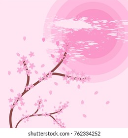 pictures of cherry blossoms and sun