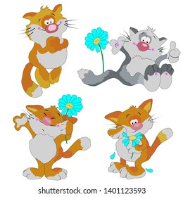 pictures of funny cats, isolates on a white background