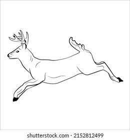 Pictures of line art deer for coloring small children
