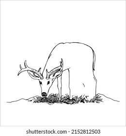 Pictures of line art deer for coloring small children