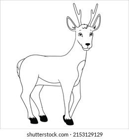 Pictures of line art deer for coloring small children