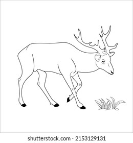 Pictures of line art deer for coloring small children