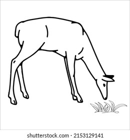 Pictures of line art deer for coloring small children