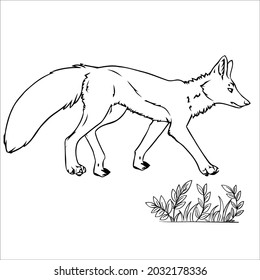Pictures of line art foxes for coloring