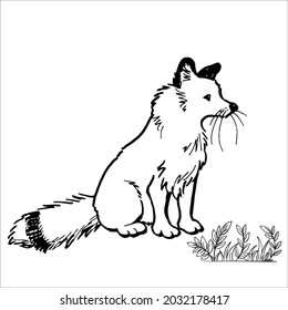 Pictures of line art foxes for coloring