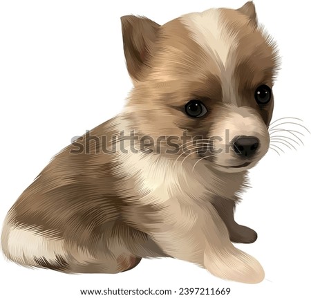 pictures of small dogs look very cute and cute