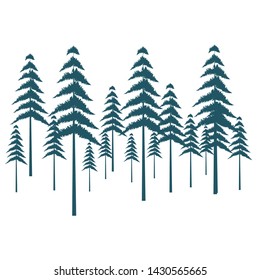pictures of tree pines, christmas trees