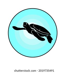 pictures of turtles to make logo designs and more