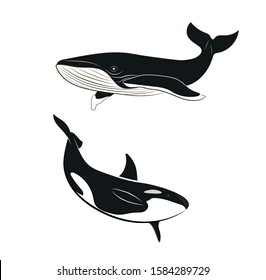 pictures of whales in black and white. vector illustration.