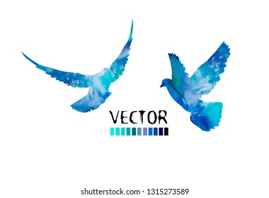 Picturesque dove. Vector