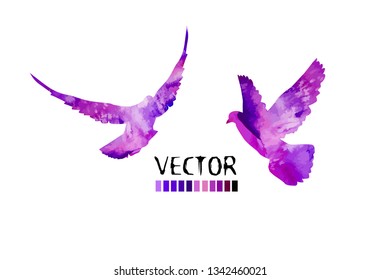 Picturesque dove. Vector