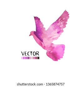 Picturesque dove. Vector