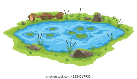 Picturesque natural pond. Blue water pond with reeds and stones. Concept of outdoor scene, open small swamp lake. Countryside landscape vector cartoon illustration