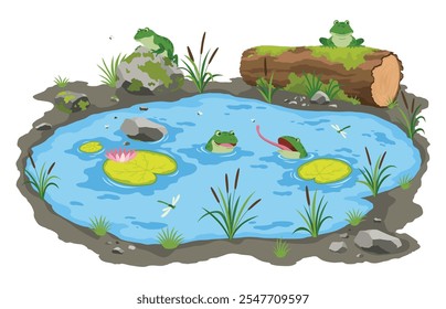 Picturesque natural pond. Blue water pond with reeds and stones. Concept of outdoor scene, open small swamp lake. Countryside landscape vector cartoon illustration