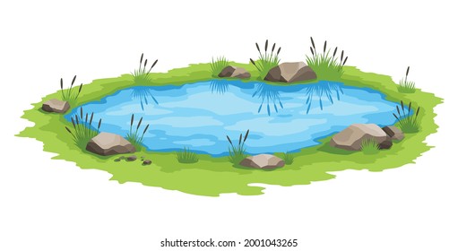 Picturesque natural pond. Concept of open small swamp lake. Water pond with reeds. Natural countryside landscape. Multicolour game scene