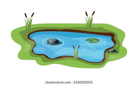 Picturesque natural pond. Concept of open small swamp lake. Water pond with reeds. Natural countryside landscape. Multicolour game scene