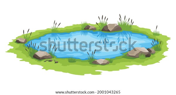 Picturesque natural pond. Concept of open small\
swamp lake. Water pond with reeds. Natural countryside landscape.\
Multicolour game\
scene