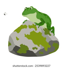 Picturesque natural pond inhabitant. Green frog on stone. Concept of outdoor scene. Vector cartoon illustration