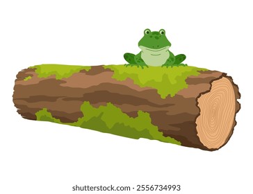 Picturesque natural pond inhabitant. Green frog on stone. Concept of outdoor scene. Vector cartoon illustration