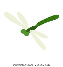 Picturesque natural pond inhabitant. Green dragonfly. Concept of outdoor scene. Vector cartoon illustration