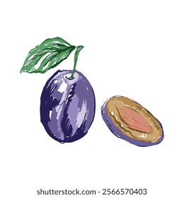 Picturesque plum.  Drawing with rich strokes. Vector illustration