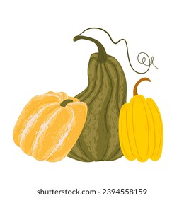 picturesque pumpkins with stripes on a white background. hand drawn yellow and green pumpkins