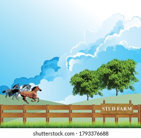 Picturesque rural scene with horses running through a paddock on a breeding stud farm set against a blue cloudy sky