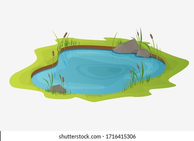Picturesque water pond with reeds. The concept of an open small swamp lake in a natural landscape style. Natural natural design in a beautiful color, rural, country style illustration.