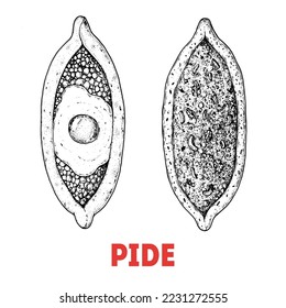 Pide Skizze, türkisches Essen. Handgezeichnete Vektorgrafik. Pide mit Fleisch und pide mit Ei. Türkisches Straßenessen. Sketch-Stil. Draufsicht. Vintage, Vektorgrafik.