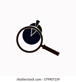 Pie Chart and Magnifying Glass  icon. Vector design.