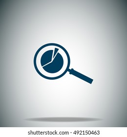Pie Chart and Magnifying Glass vector icon